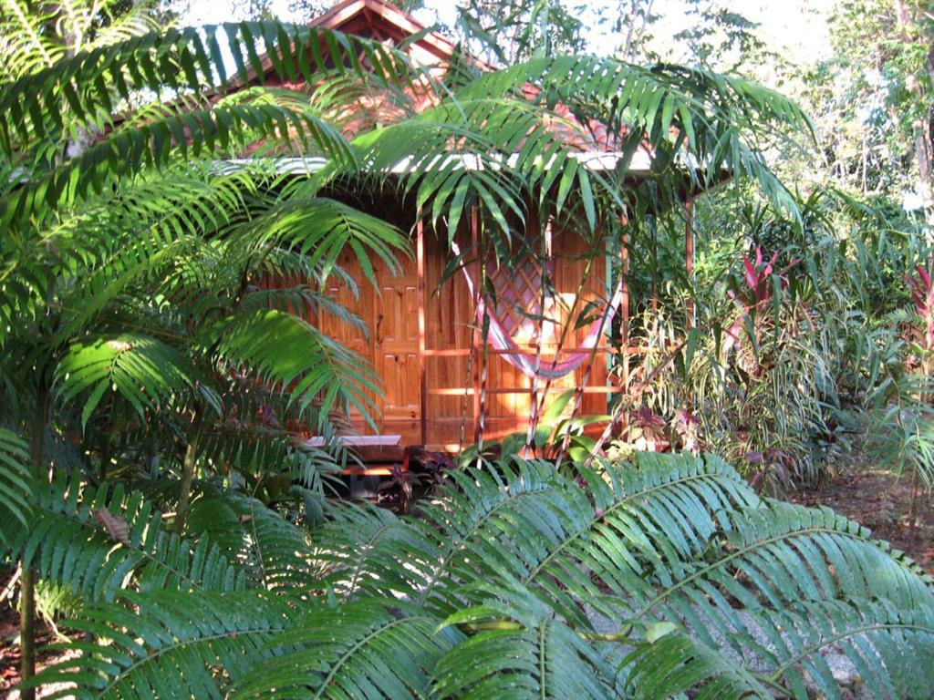 Coral Hill Bungalows 까위따 외부 사진