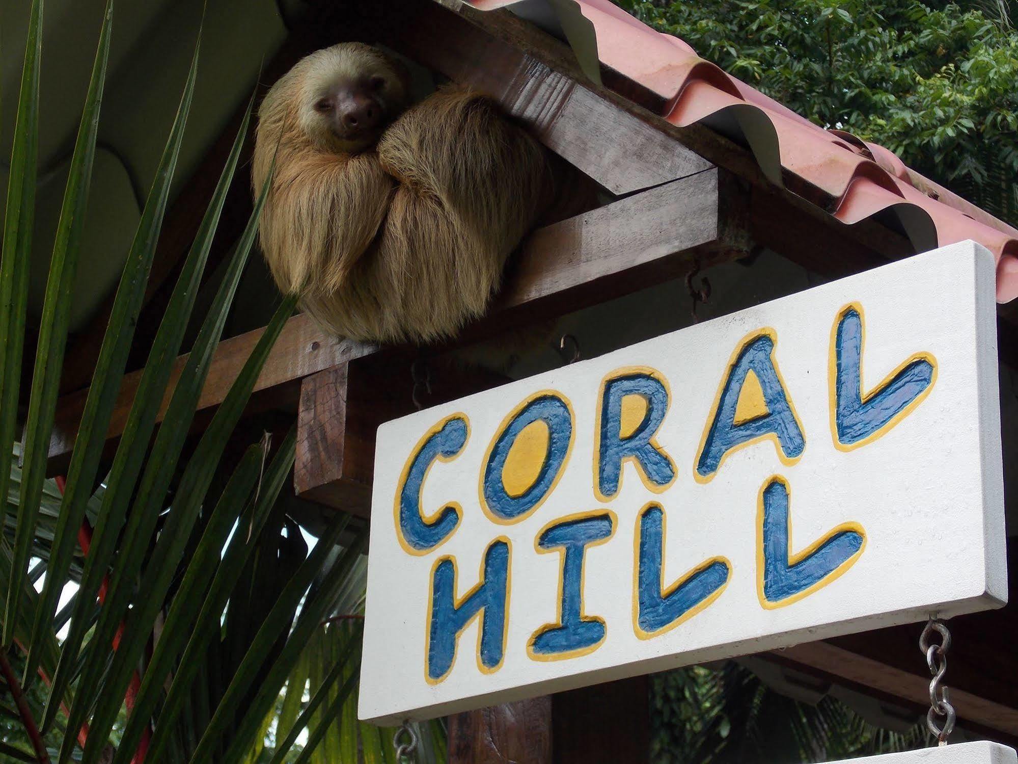 Coral Hill Bungalows 까위따 외부 사진