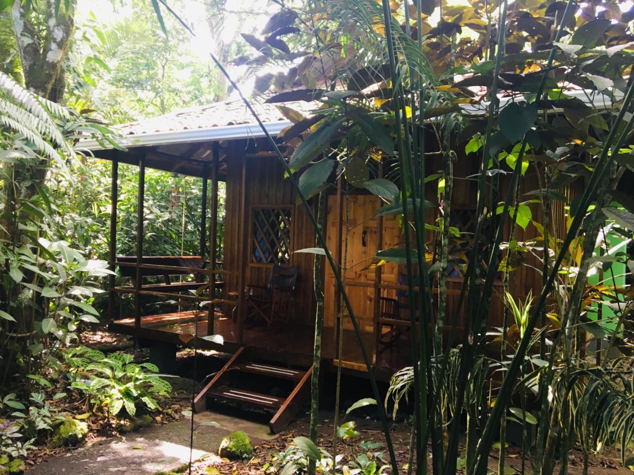 Coral Hill Bungalows 까위따 외부 사진